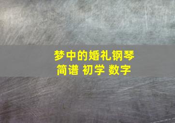 梦中的婚礼钢琴简谱 初学 数字